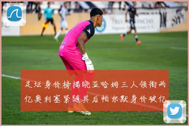 足坛身价榜揭晓亚哈姆三人领衔两亿奥利塞紧随其后帕尔默身价破亿