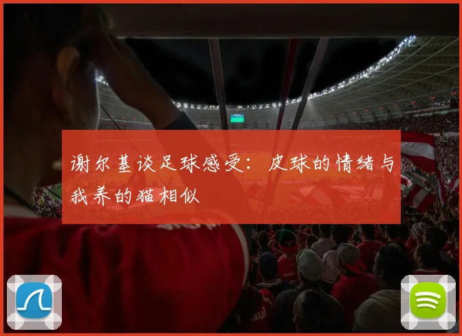 谢尔基谈足球感受：皮球的情绪与我养的猫相似